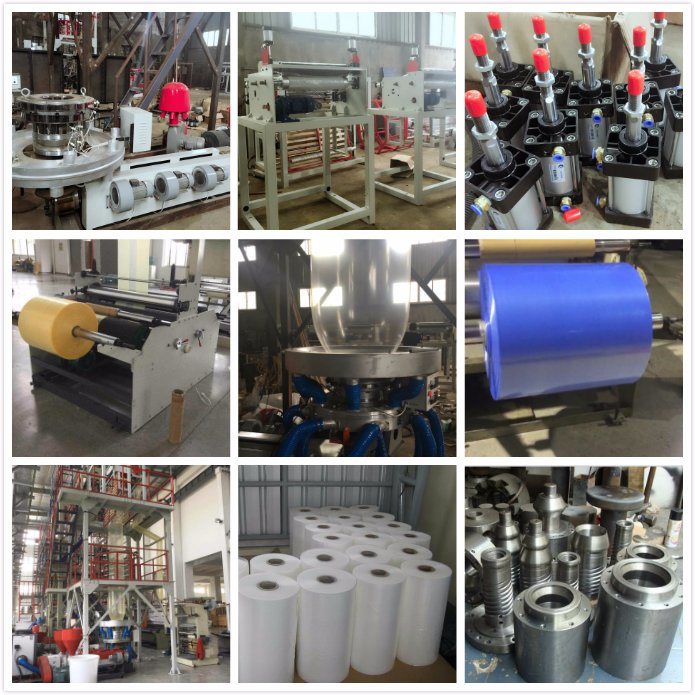 Professional Manufacturer Double Layers Rotary Plastic Film Blowing Machine