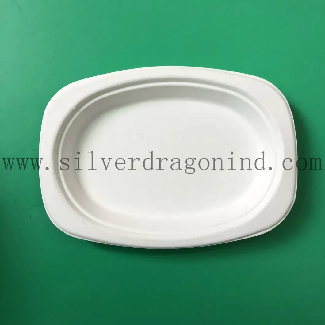 Compostable Sugarcane Pulp Paper Tray/Plates, Disposable Bagasse Plates