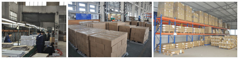 Aluminum/Aluminium Extrusion Tube (ISO9001: 2008 Certified)