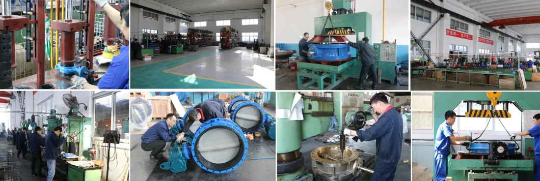 PTFE Lined Coating Wafer Type Butterfly Valve with Gear Operated Two PCS Disc Heavy Corrosion Resistance Valves