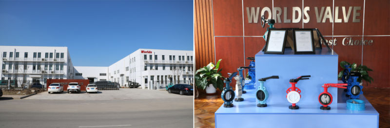 Rubber Vulcanized Lined Bonded Double Flange Butterfly Valves with Aluminum Handle Lever