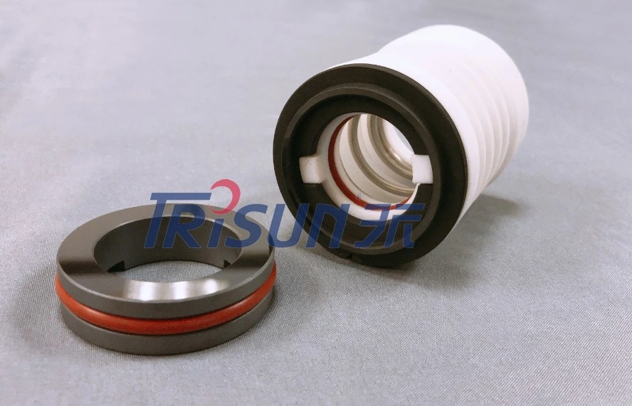 Wb3-25mm PTFE Bellows Mechanical Seal with Perfluoroethylene Cover