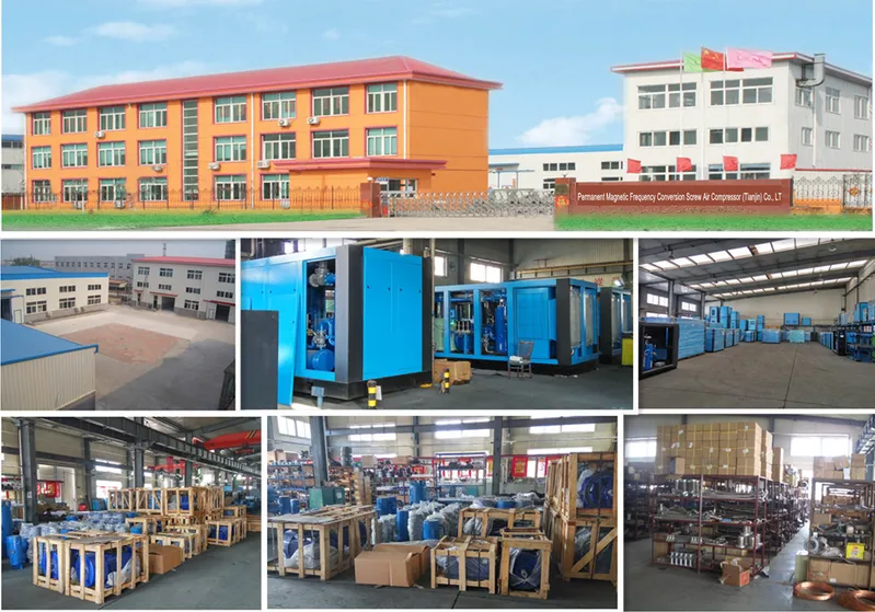 High Efficiency Low Pressure Double Rotor Screw Air Compressor