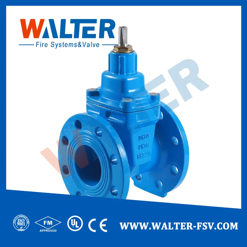 Double Flanged Cast Iron Gate Valve Pn16