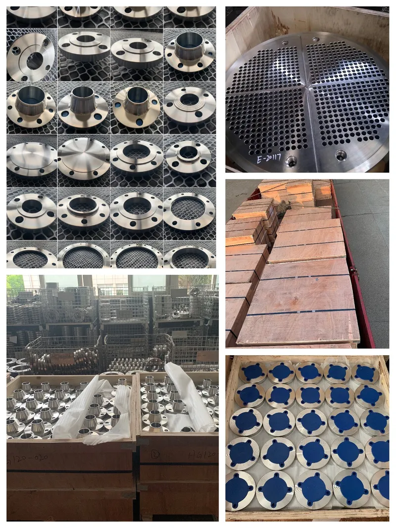 Leading Forging Flange Socket Weld Flange Steel Flange Manufacturer with TUV Cdfl1004