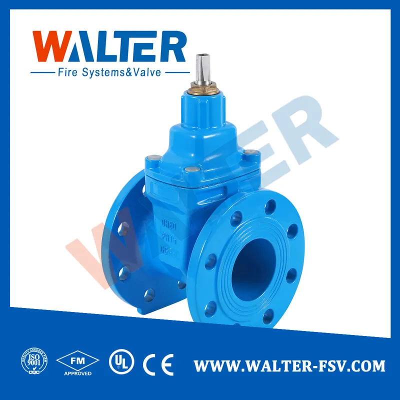 Double Flanged Cast Iron Gate Valve Pn16