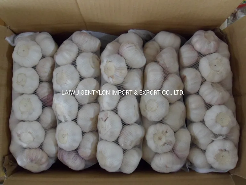 4cm 5cm5.5cm 6cm Normal White Pure White Fresh Garlic