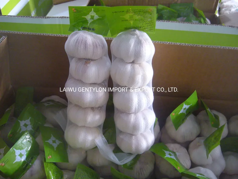 4cm 5cm5.5cm 6cm Normal White Pure White Fresh Garlic