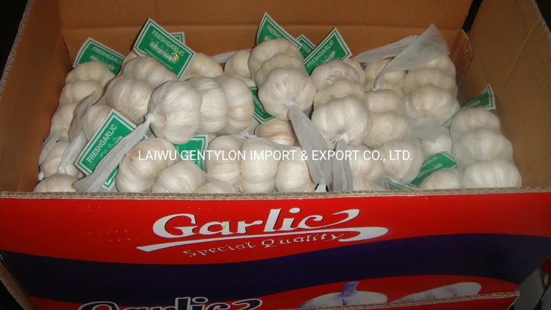 4cm 5cm5.5cm 6cm Normal White Pure White Fresh Garlic