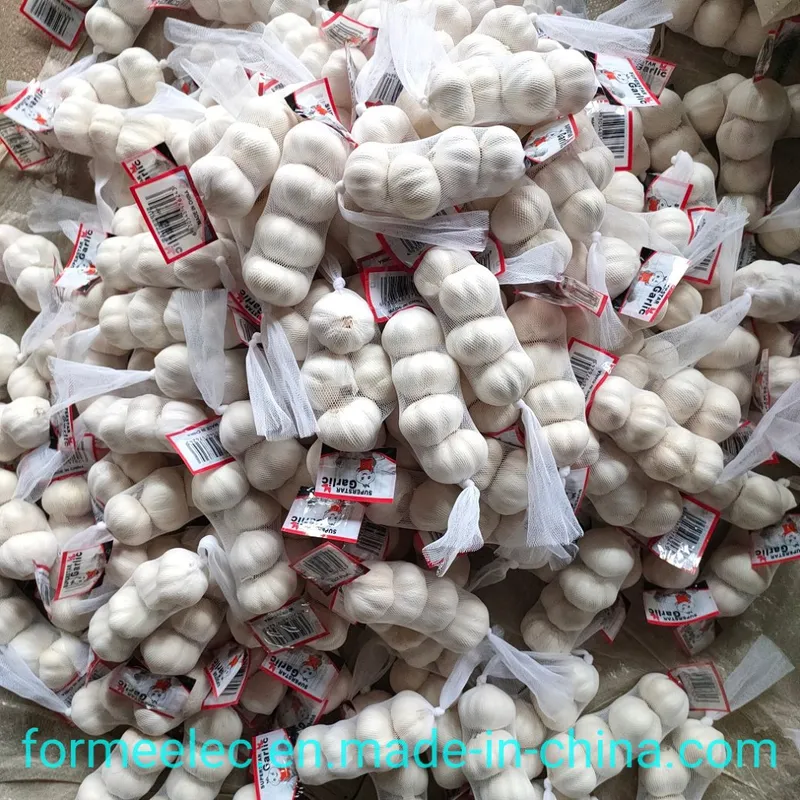 5.0cm Fresh Garlic Chinese Normal White Garlic Pure White Garlic