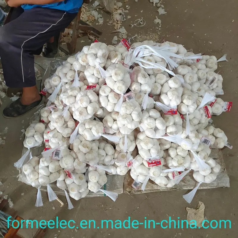 5.0cm Fresh Garlic Chinese Normal White Garlic Pure White Garlic