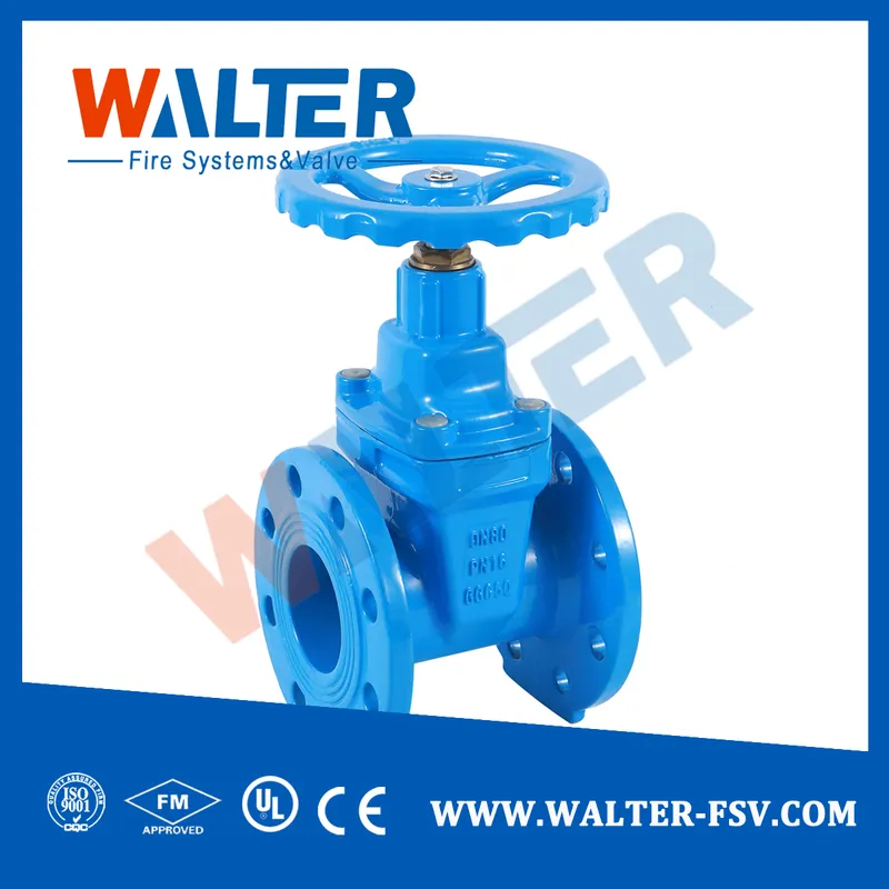 Double Flanged Cast Iron Gate Valve Pn16