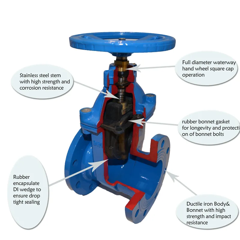 BS5163 12 Inch Stainless Steel Wedge Double Flanged Gate Valve