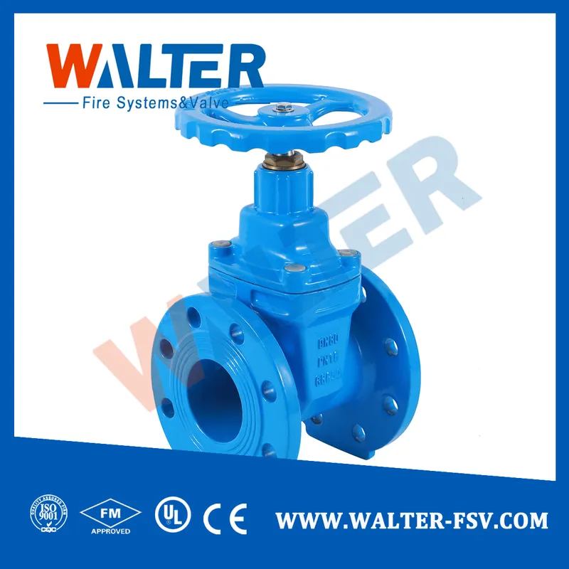 Double Flanged Cast Iron Gate Valve Pn16