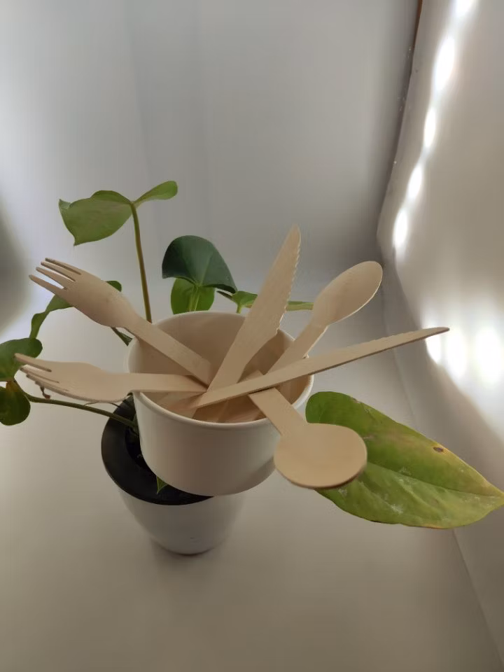 100% Natural Wooden Biodegradable Birch Wood Disposable Cutlery Set Forks/Spoons/Knives