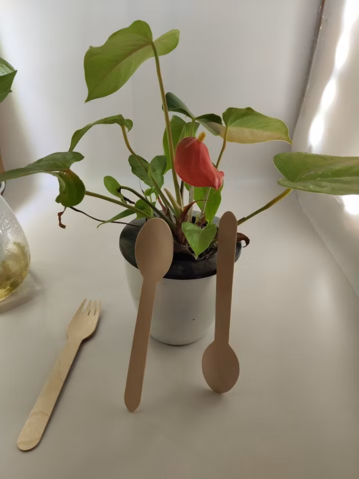 Disposable Birchwood Knife, Fork and Spoon Set Disposable Tableware