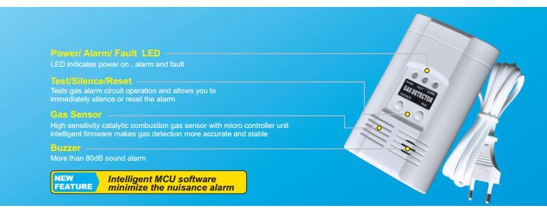 Carbon Monoxide Gas Leakage Detector in Home, Small Commercial Properties