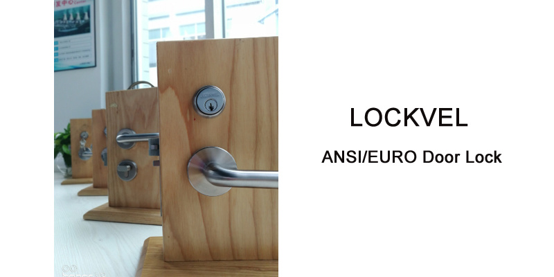 Lockvel Architecture Hardware Stainless Steel Door Handle/Door Key Lock/Deadlatch