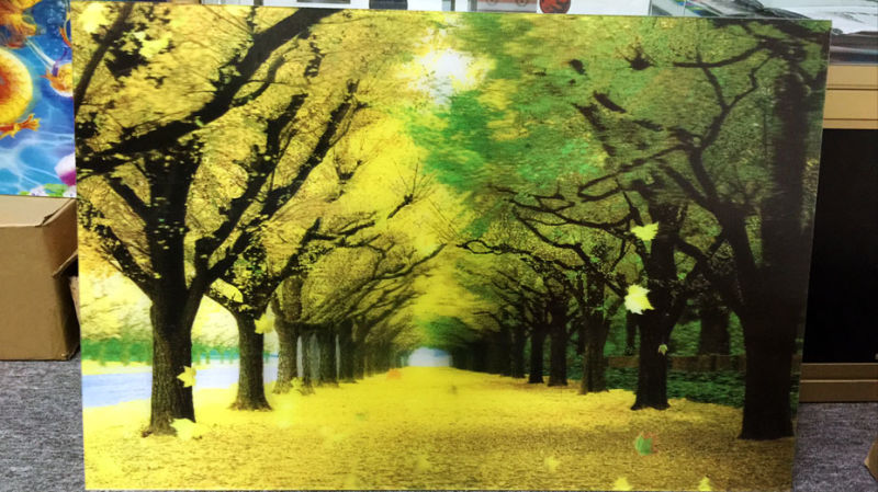 High Definition Custom Lenticular 3D Printing Picture for Art Exhibition