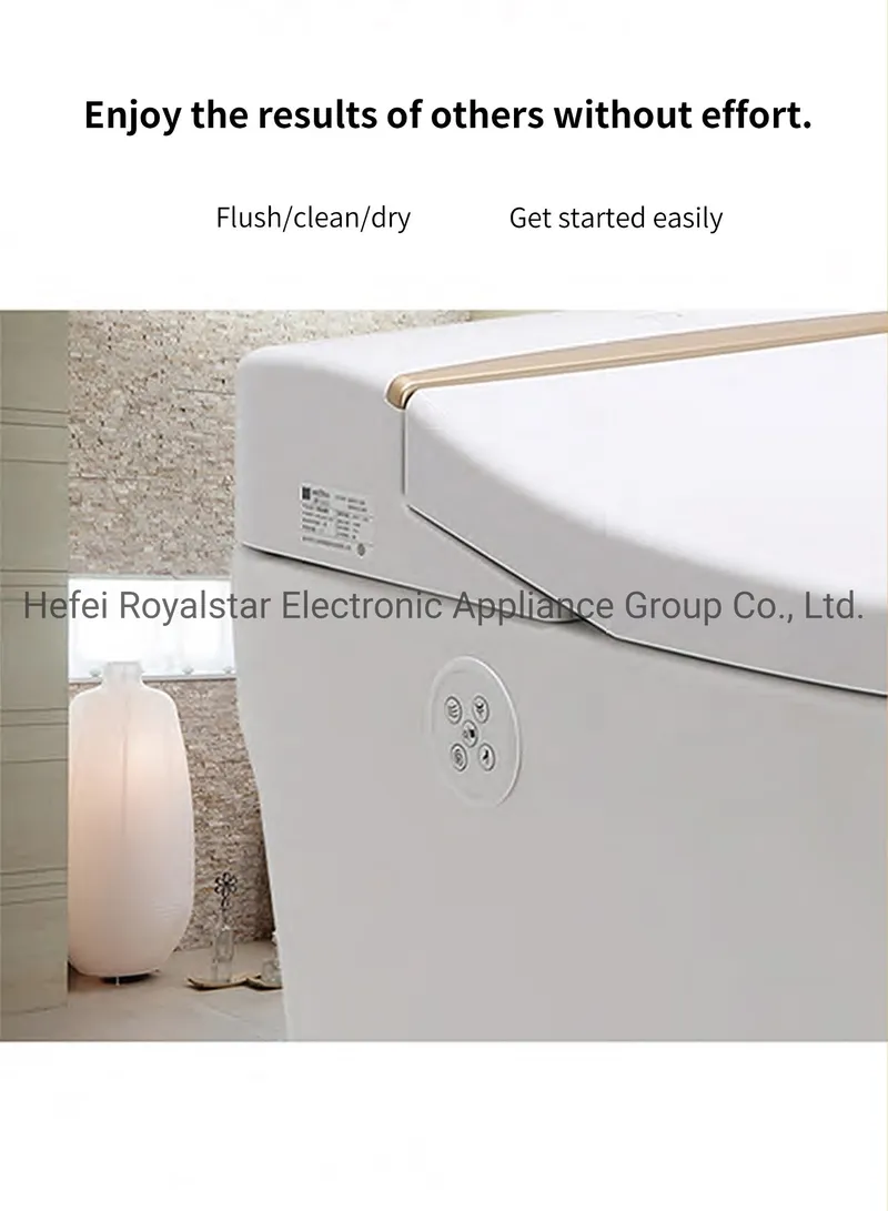 Smart Sanitary Equipment Bathroom Electric Bidet Water Closet