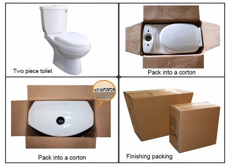 893 Small Toilet, Washdown Two Piece Toilet
