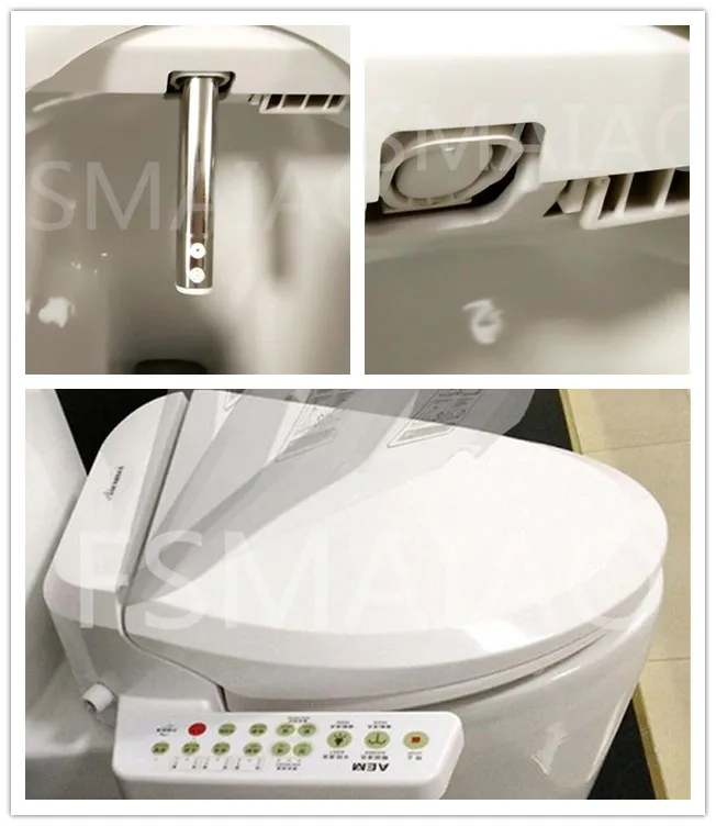 Sanitary Ware Automatic Smart Electronic Bidet Toilet Seat (V510)