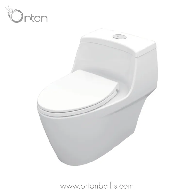 Modern White Bathroom Sets Sanitary Ware One Piece Wc Toilet with Shallow Tank