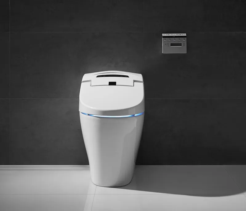 Modern Smart Bathroom Wc Floor-Mounted White Intelligent Bidet Toilet