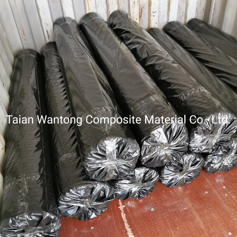 Uniaxial Pet Geogrid/Biaxial Polyester Geogrid for Fence and Subgrade Geogrid