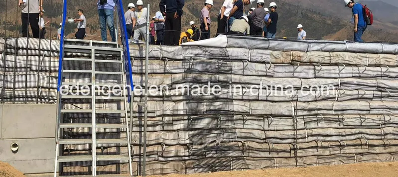 Uniaxial (UX) PP Polypropylene / HDPE Plastic Geogrid for Subgrade Railway Retaining Wall