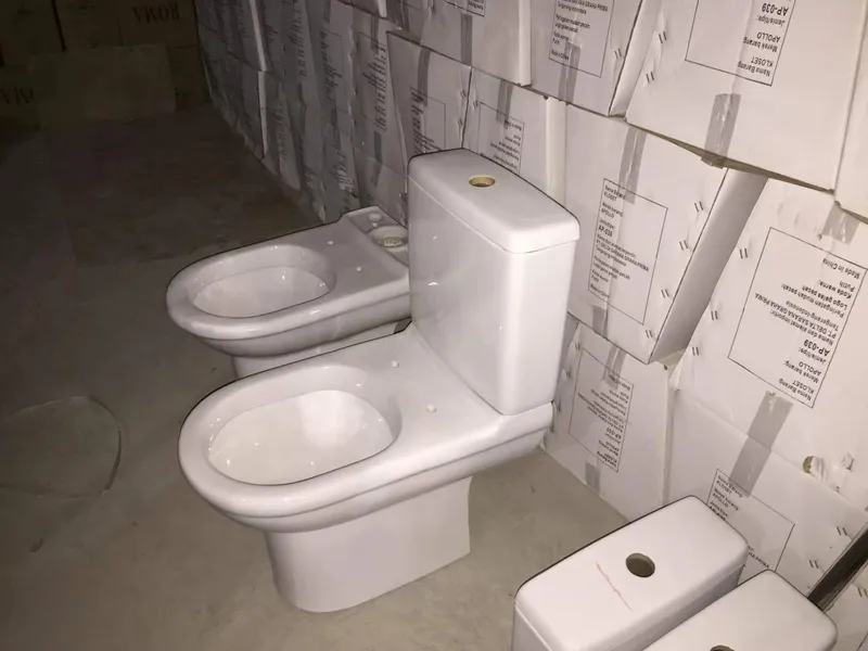 893 Small Toilet, Washdown Two Piece Toilet
