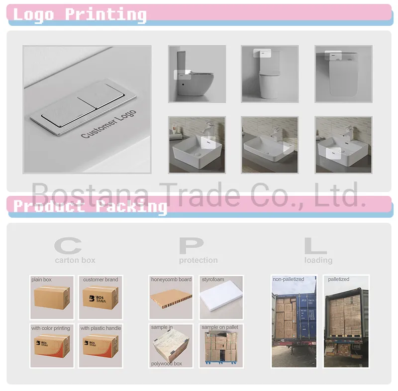 Back to Wall Closet Bathroom Ceramic Sanitary Ware Toilet Washdown Toilet