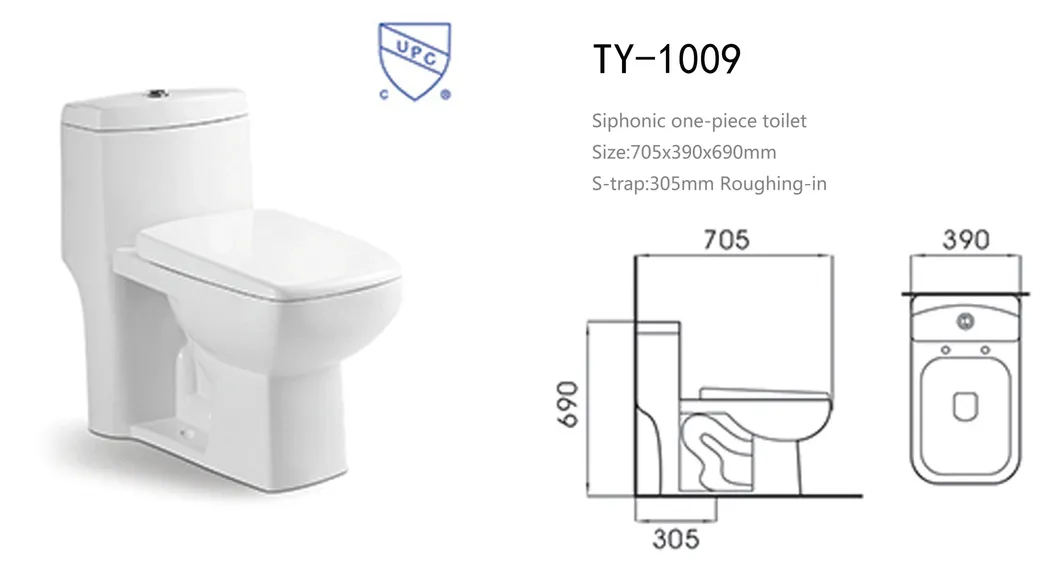 Toilet Wc Modern Bathroom Close Coupled Soft Close Seat Toilet White Ceramic