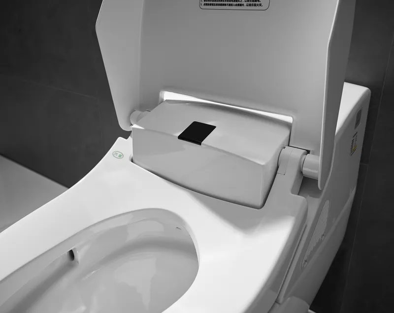 Modern Smart Bathroom Wc Floor-Mounted White Intelligent Bidet Toilet