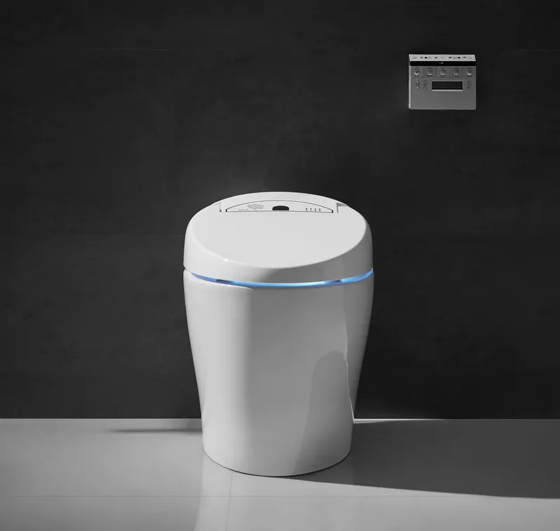 Wholesale Water Closet Bathroom One Piece Intelligent Bidet Toilet