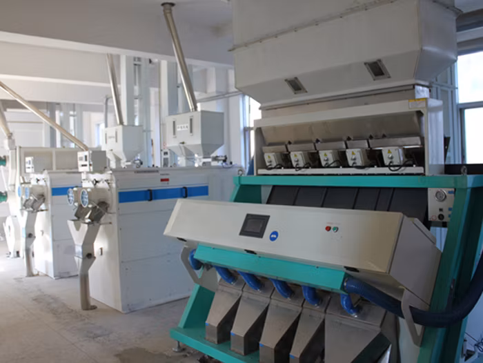 Macchina per smistamento professionale di fagioli verdi/selettore colore fagioli rossi/colore fagioli neri Smistatore del produttore