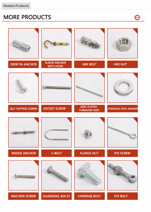SS316 Carriage Bolt DIN603 Mushroom Head Square Neck Bolts
