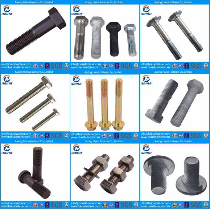 DIN603 Stainless Steel Carriage Bolts, Carriage Bolts in Stainless Steel (SS304 SS316 316L)