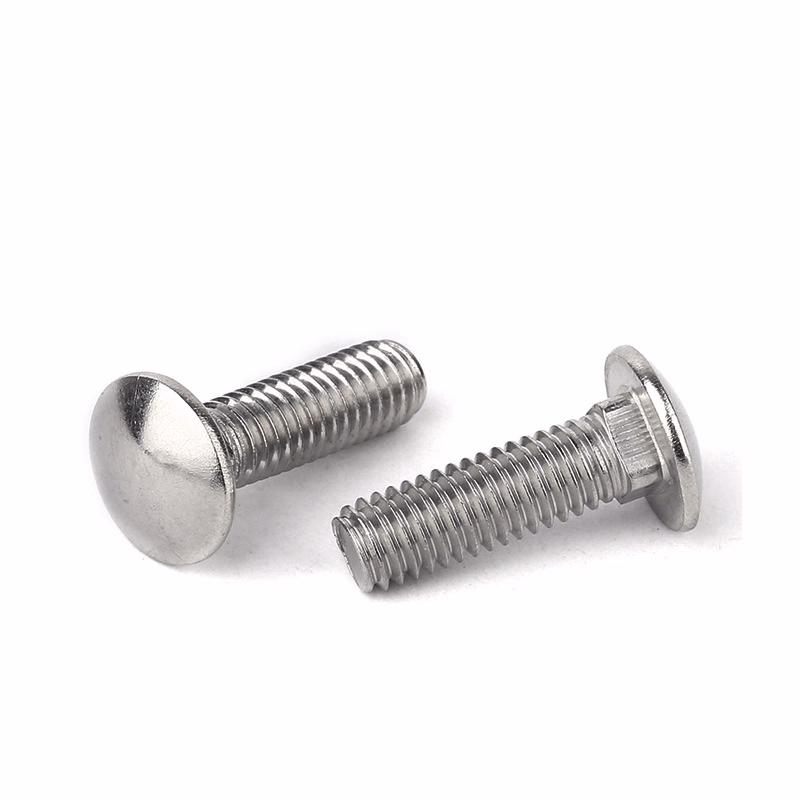 SS316 M5-M20 Cup Head Square Neck Bolts/Carriage Bolt