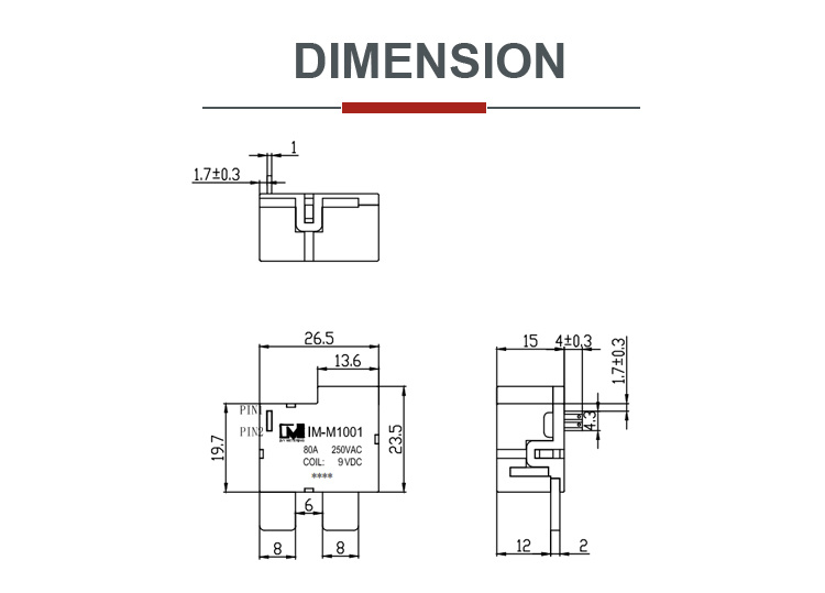 12VDC 24V Magnetic Immune Latching Relay for Industry