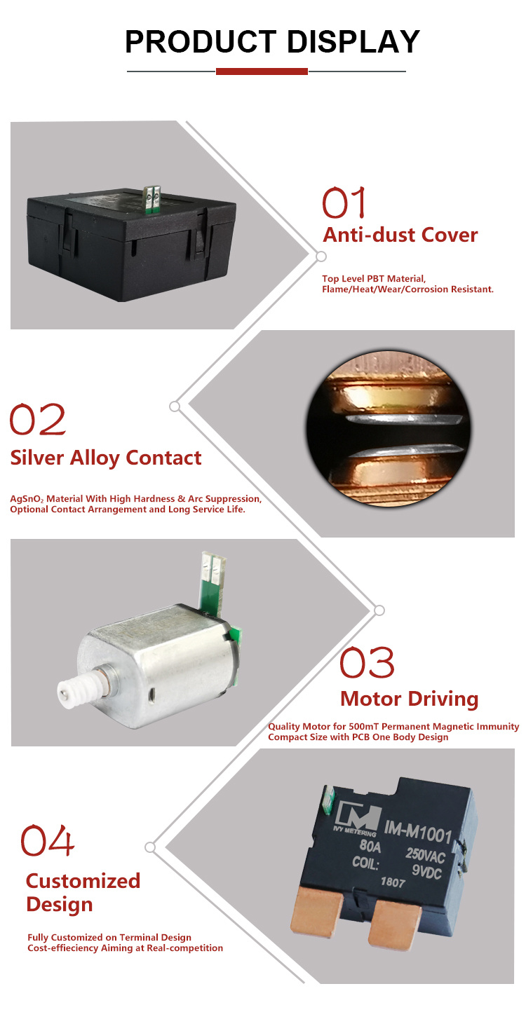 12VDC 24V Magnetic Immune Latching Relay for Industry