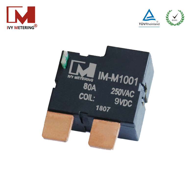 12VDC 24V Magnetic Immune Latching Relay for Industry