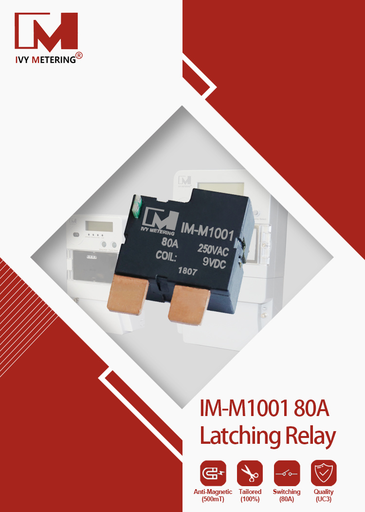 12VDC 24V Magnetic Immune Latching Relay for Industry