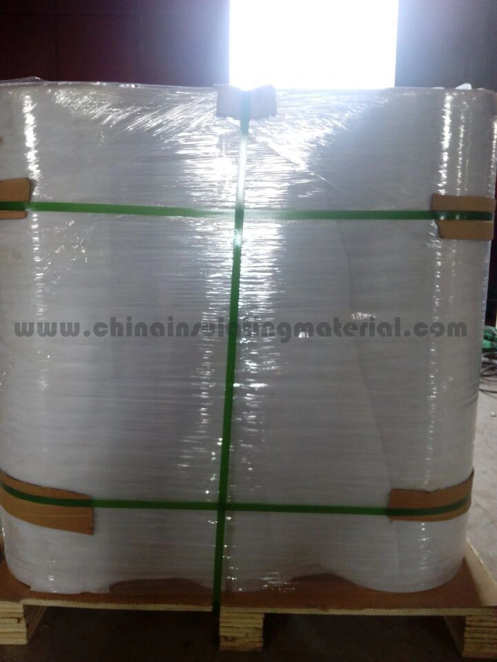 Epoxy Resin DMD Film/Insulation DMD Film /Cast Resin Transformer Winding Insulation DMD Film