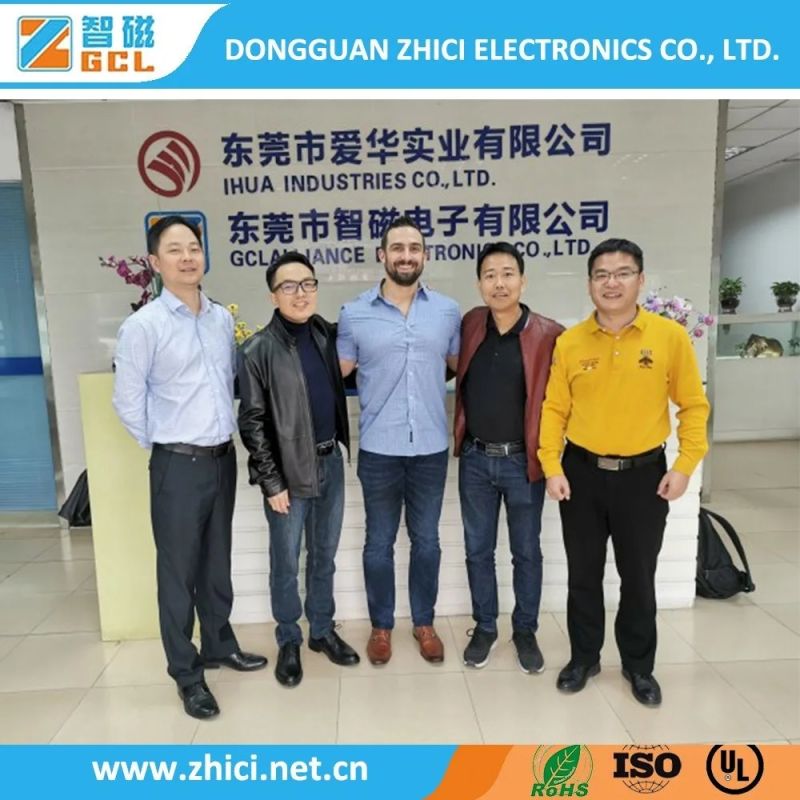 China Factory Electronic Power Eel Etd RM Pq High Frequency Transformer