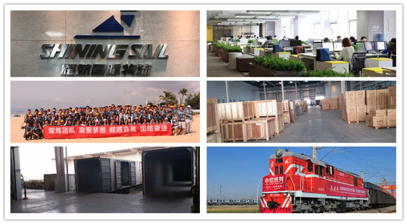 Ocean Freight Forwarder Shipping From Shanghai/Shenzhen/Xiamen/Guangzhou/Ningbo to Manila