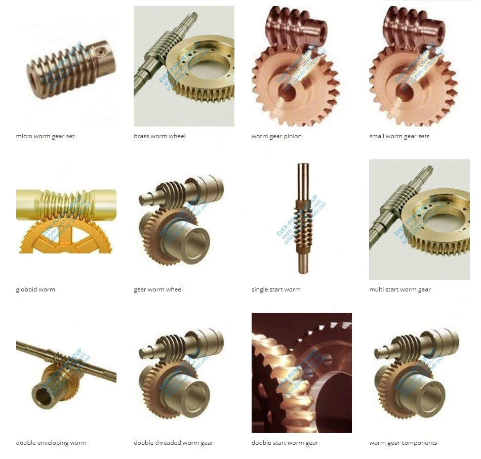 Small Slewing Drive Endless Rack and Pinion Screw Motor Shaft Wheel Motor Plastic Helical Bevel Spur Worm Gear Mechanism Set Arrangement
