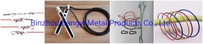 Corrosion Resistance Red Strand Plastic Coated Steel Wire Rope