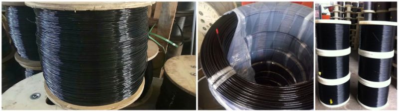 Professional PVC/PU Plastic Coated Steel Wire Rope Manufacturer