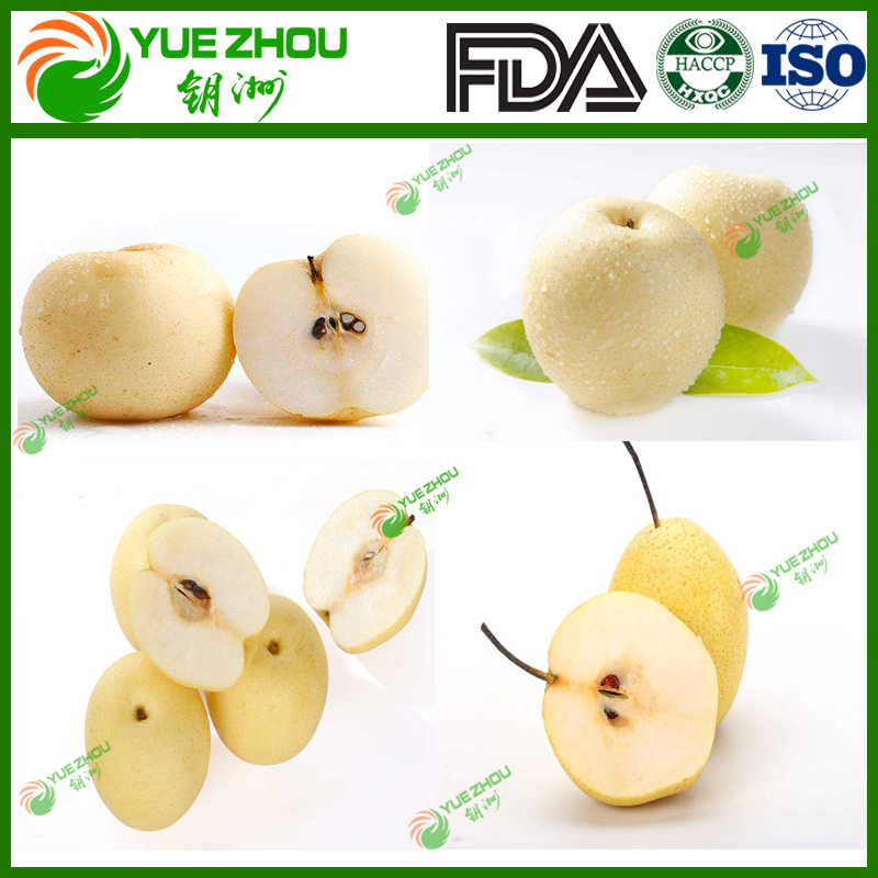 Top Sale Fresh Fruit Sweet Golden Pears with Juicy and Tasty